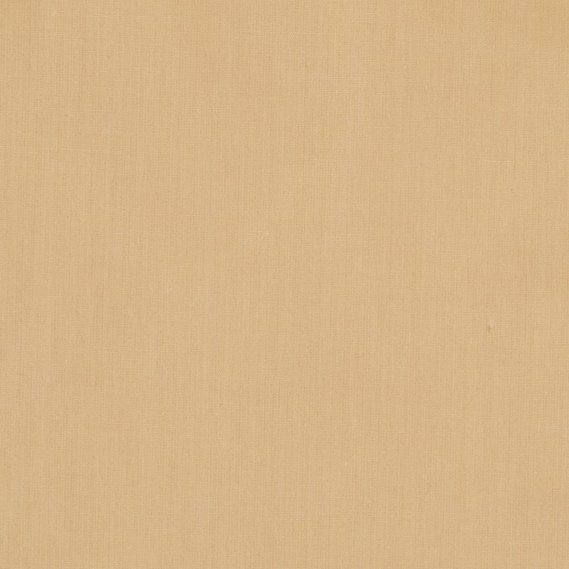 Robert Allen Fabric 016620 Ultima Rye