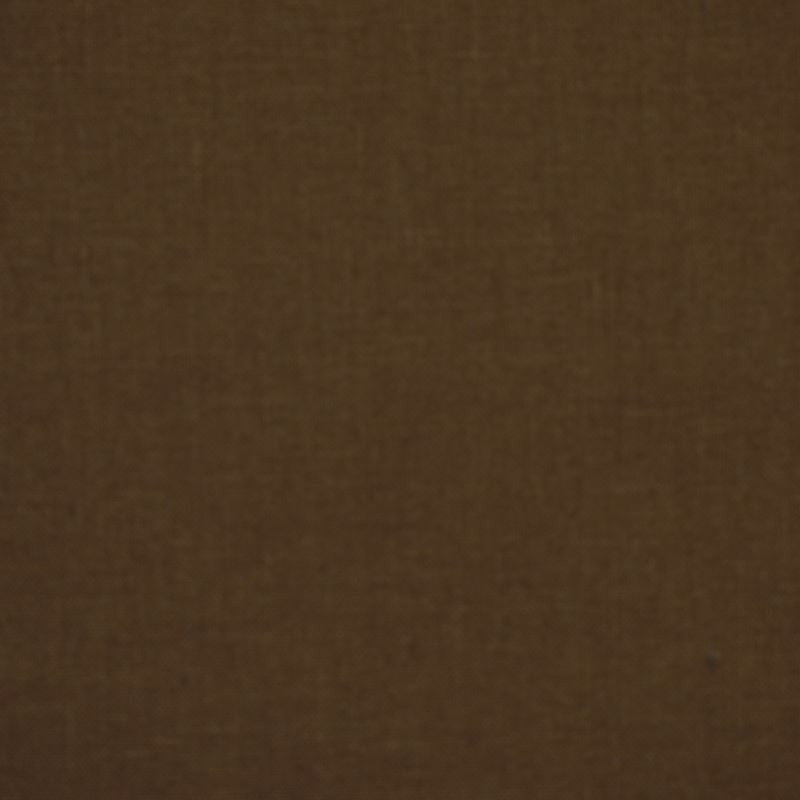Robert Allen Fabric 039407 Paolo Earth
