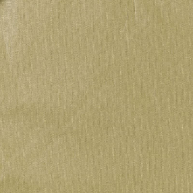 Robert Allen Fabric 041970 Ultima Pampas