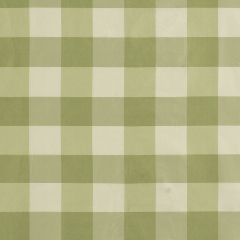 Robert Allen Fabric 046588 Acanda Grass