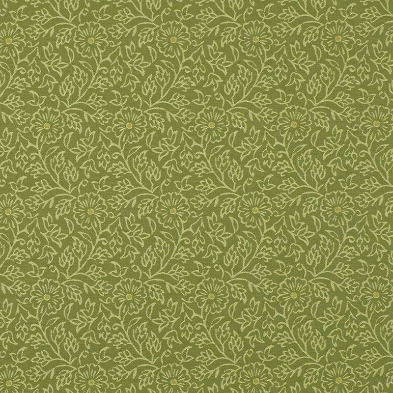 Robert Allen Fabric 060835 Jamesport Honeydew