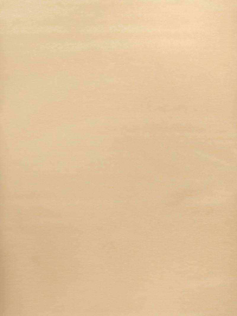 Stroheim Wallpaper 0654801 Sabang Silk Chamois