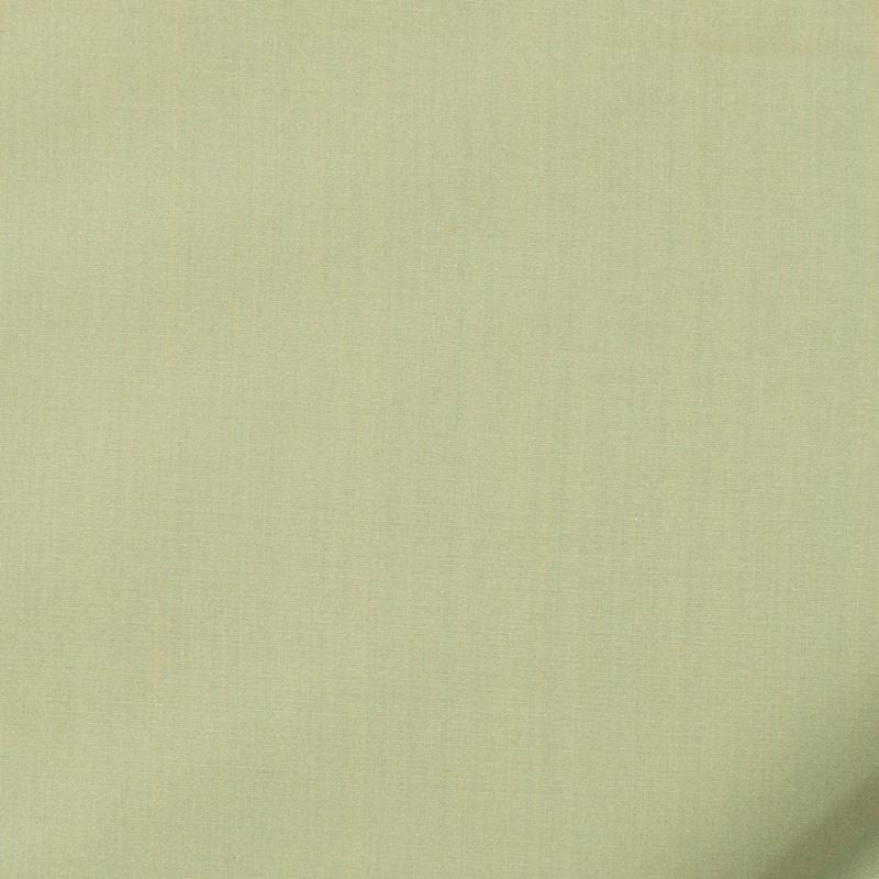 Robert Allen Fabric 066009 Kerala Silver Sage