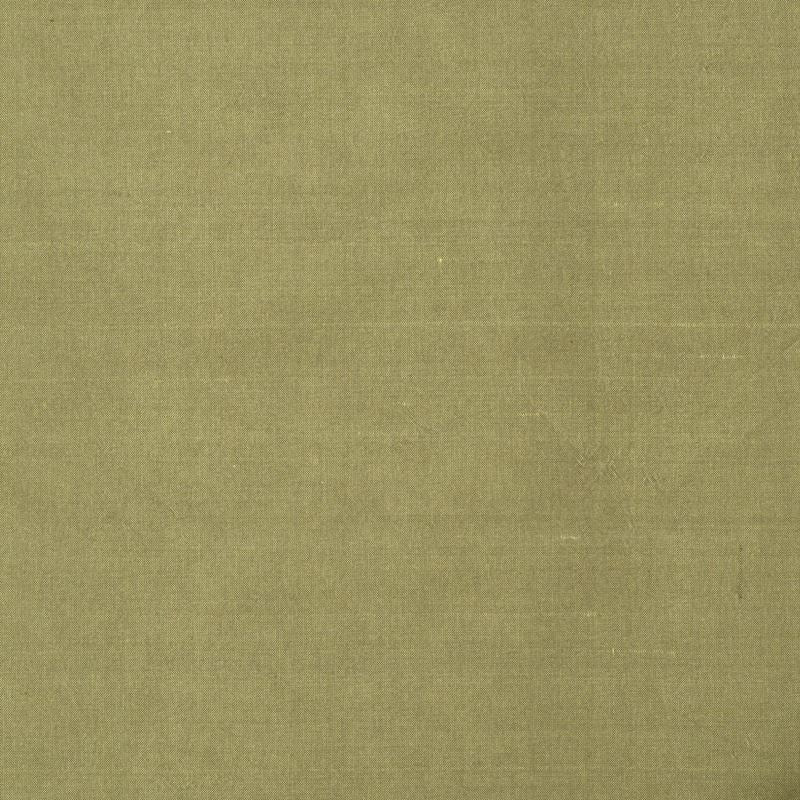 Robert Allen Fabric 066154 Allepey Avocado
