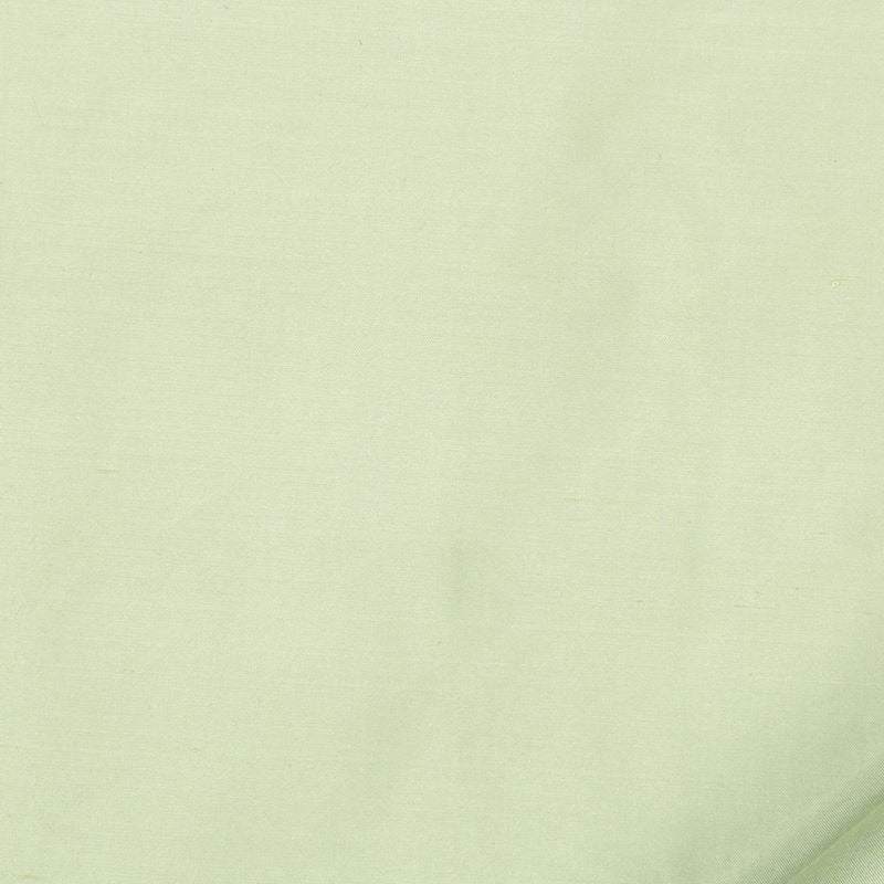 Robert Allen Fabric 066158 Allepey Honeydew