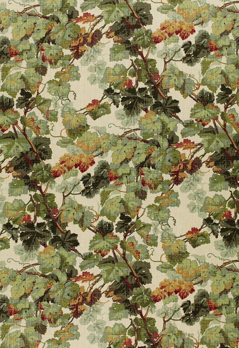 FSchumacher Fabric 1212012 Arbor Vine Document