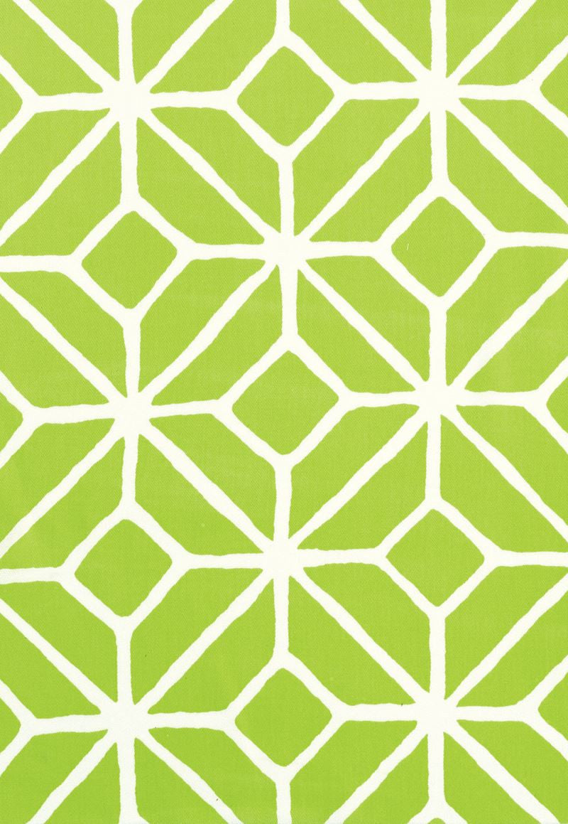 FSchumacher Fabric 174234 Trellis Print Apple