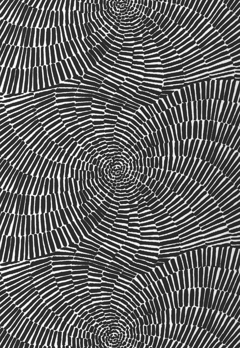 FSchumacher Fabric 174243 Sonriza Print Black