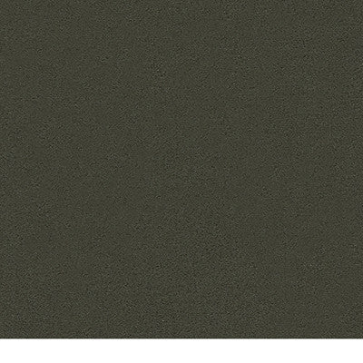 Kravet Couture Fabric 19574.2121