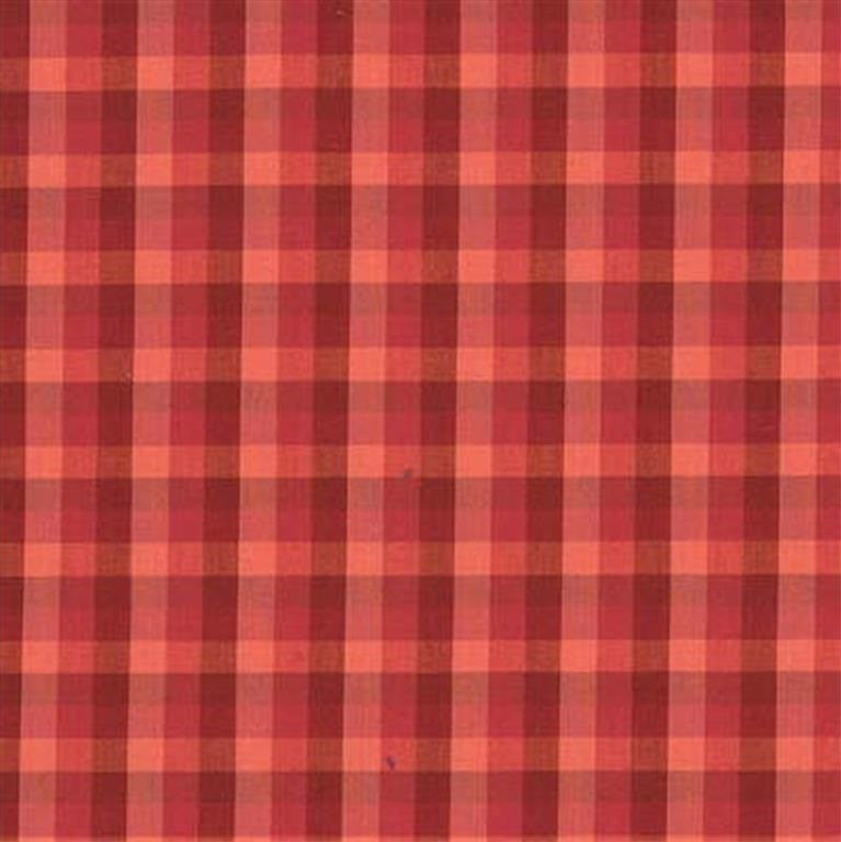Lee Jofa Fabric 2000233.24 Carousel Check Spice