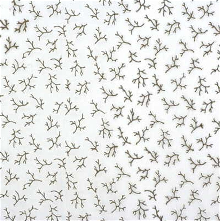 Lee Jofa Fabric 2007175.116 Oceana Sheer Driftwood