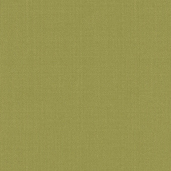 FSchumacher Fabric 22652 Sargent Silk Taffeta Linden