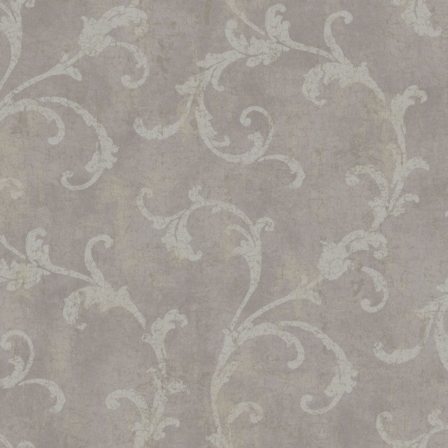 York Wallpaper 255903 Penelope