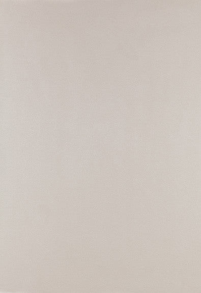 FSchumacher Wallpaper 2707201 Fire Island Birch