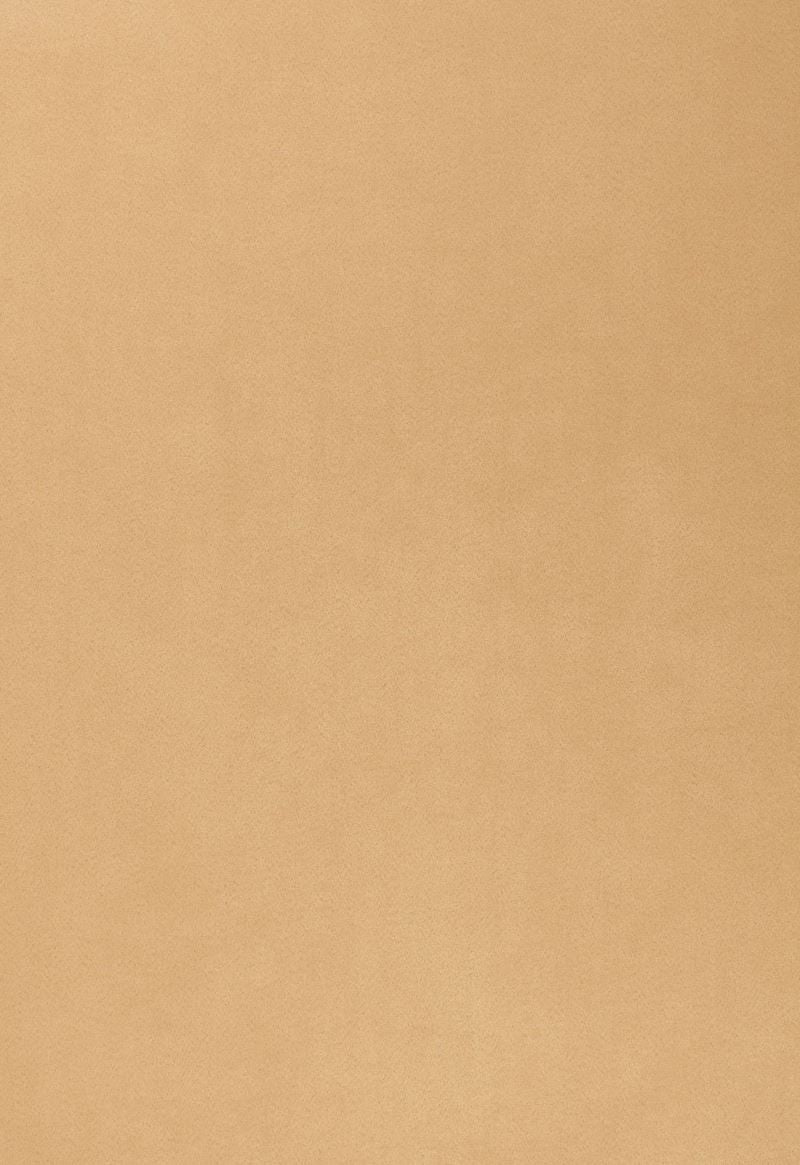 FSchumacher Wallpaper 2707202 Fire Island Mustard