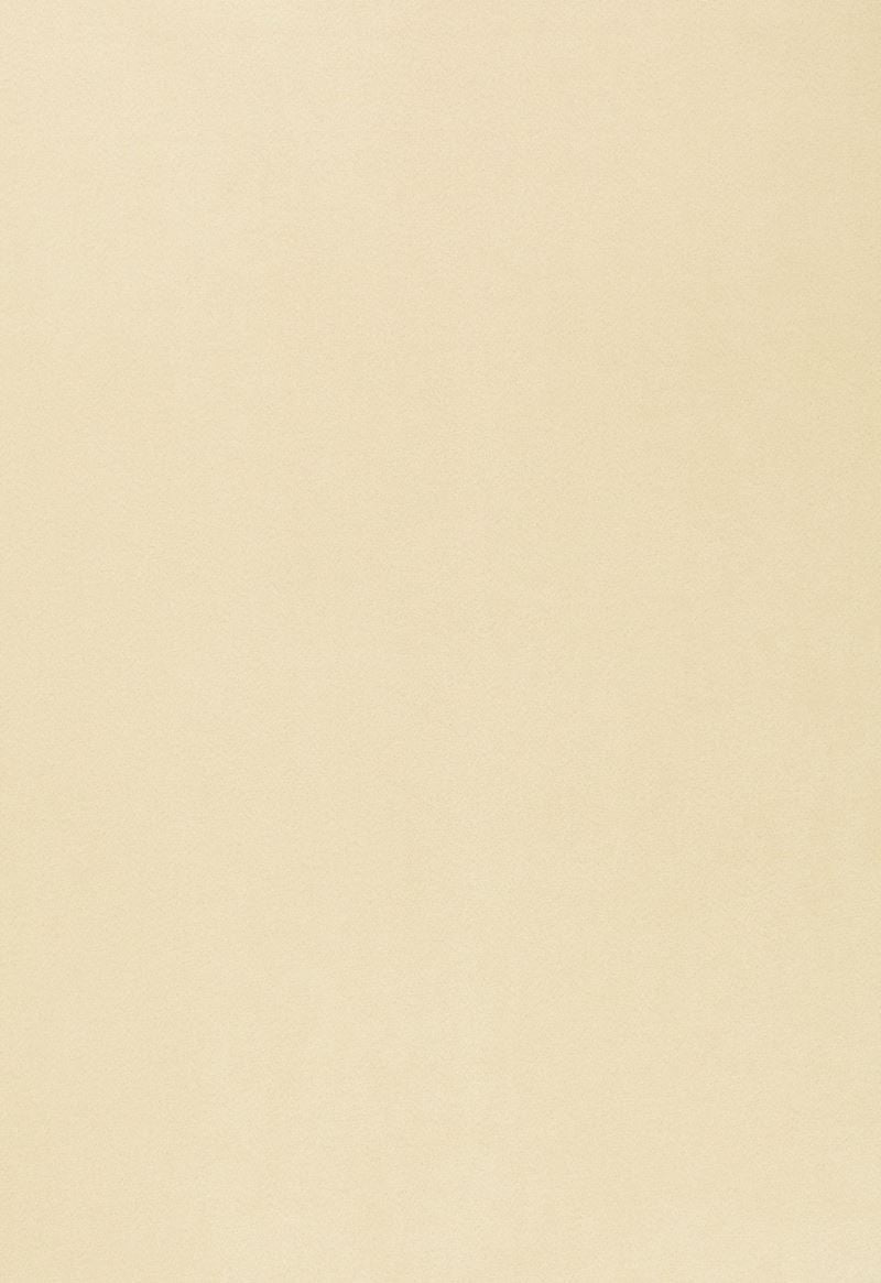 FSchumacher Wallpaper 2707203 Fire Island Chamois