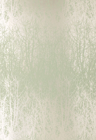 FSchumacher Wallpaper 2707241 Birches Aqua, Silver