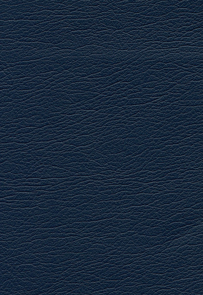 FSchumacher Fabric 291-2478 Ultraleather Diplomat
