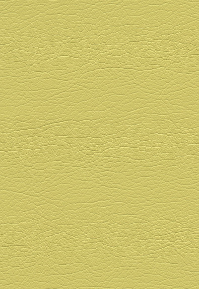 FSchumacher Fabric 291-5255 Ultraleather Bamboo