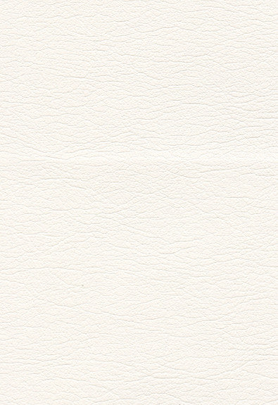 FSchumacher Fabric 291-5805 Ultraleather Ermine
