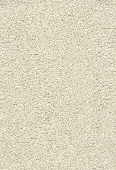 FSchumacher Fabric 303-3019 Brisa Birch
