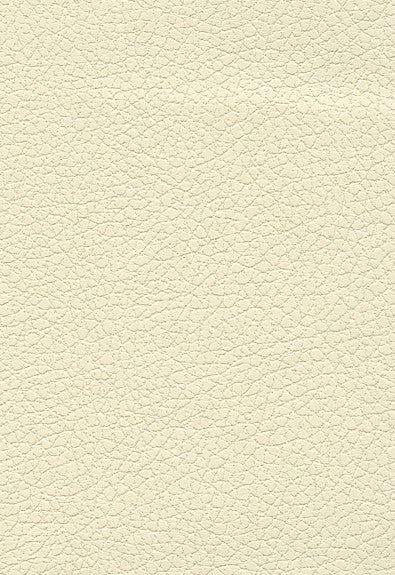 FSchumacher Fabric 303-3866 Brisa French Vanilla
