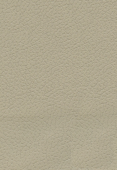 FSchumacher Fabric 303-3946 Brisa Sand