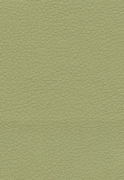 FSchumacher Fabric 303-4510 Brisa Celery