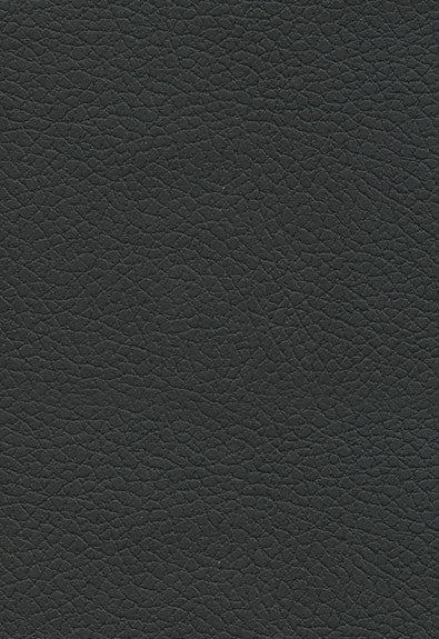 FSchumacher Fabric 303-5749 Brisa Black Onyx