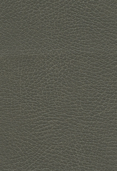 FSchumacher Fabric 335-3870 Brisa Distressed Elephant