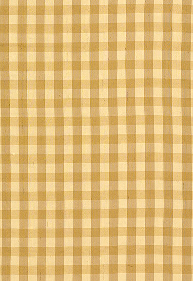 FSchumacher Fabric 3439001 Inglebury Silk Check Coin