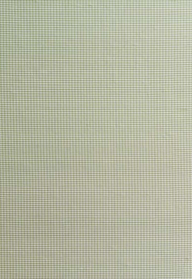 FSchumacher Fabric 3449000 Dalton Silk Gingham Leaf