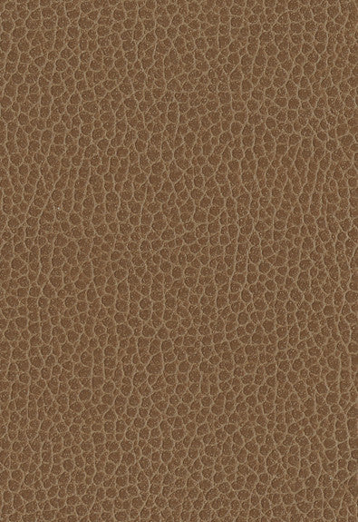 FSchumacher Fabric 363-3141 Promessa Fields