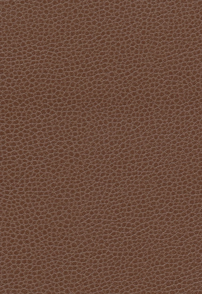 FSchumacher Fabric 363-3143 Promessa Tudor