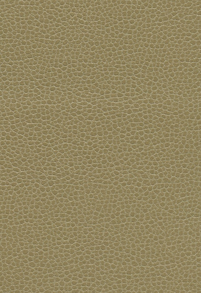 FSchumacher Fabric 363-3148 Promessa Briarwood