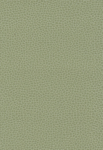 FSchumacher Fabric 363-4458 Promessa Sage