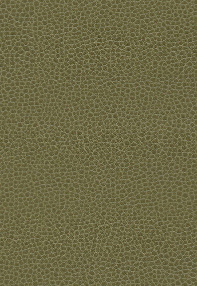 FSchumacher Fabric 363-4514 Promessa Moss