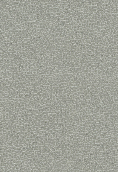 FSchumacher Fabric 363-5818 Promessa Ash