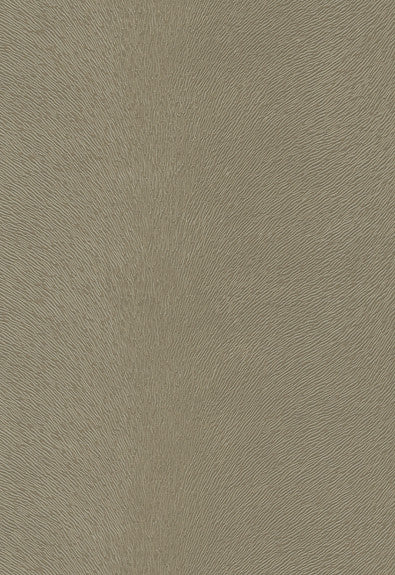 FSchumacher Fabric 370-3156 Pony Taupe