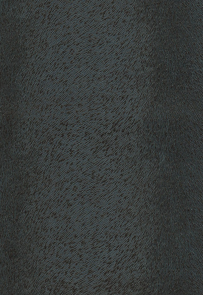 FSchumacher Fabric 370-5861 Pony Ebony