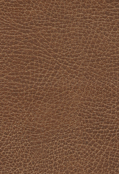 FSchumacher Fabric 396-3972 Brisa Soleil Distressed Lasso