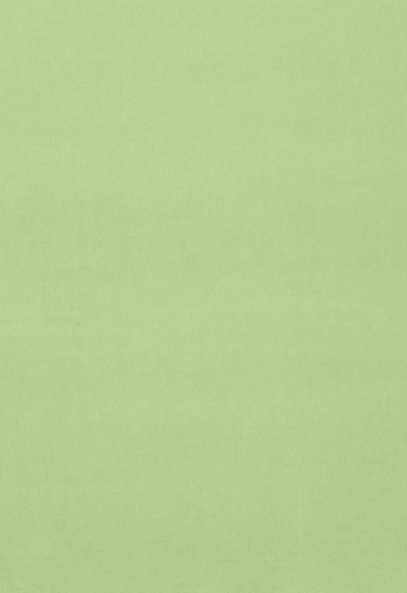 FSchumacher Fabric 42855 Gainsborough Velvet Mint