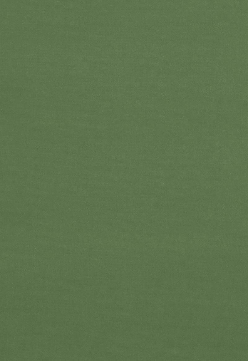 FSchumacher Fabric 42862 Gainsborough Velvet Reseda