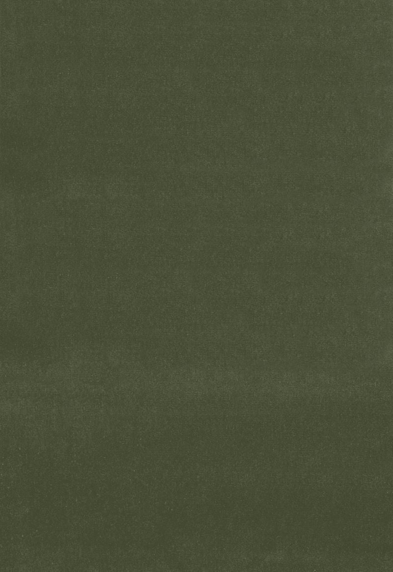 FSchumacher Fabric 42865 Gainsborough Velvet Parsley