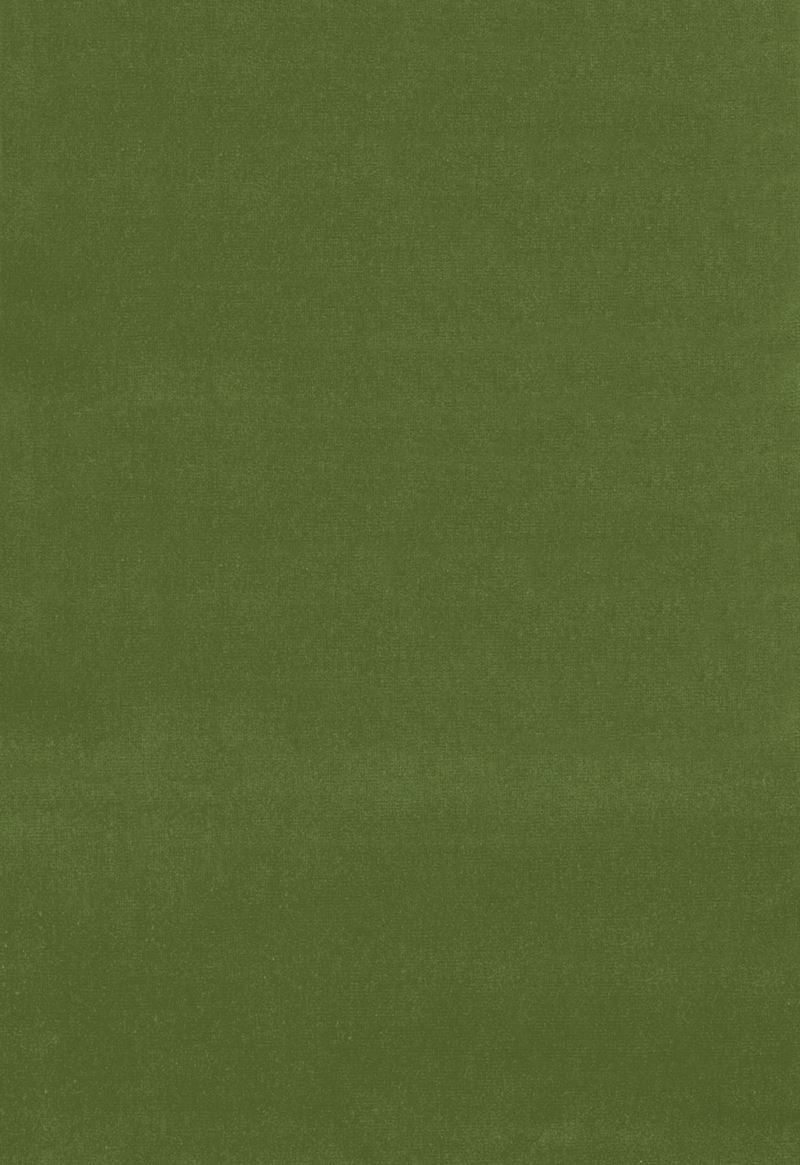 FSchumacher Fabric 42869 Gainsborough Velvet Fern