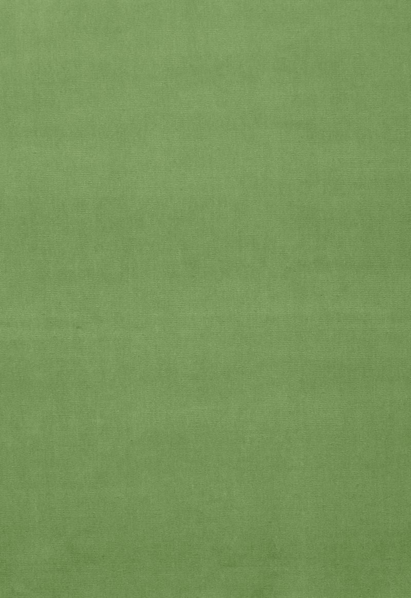 FSchumacher Fabric 42873 Gainsborough Velvet Willow