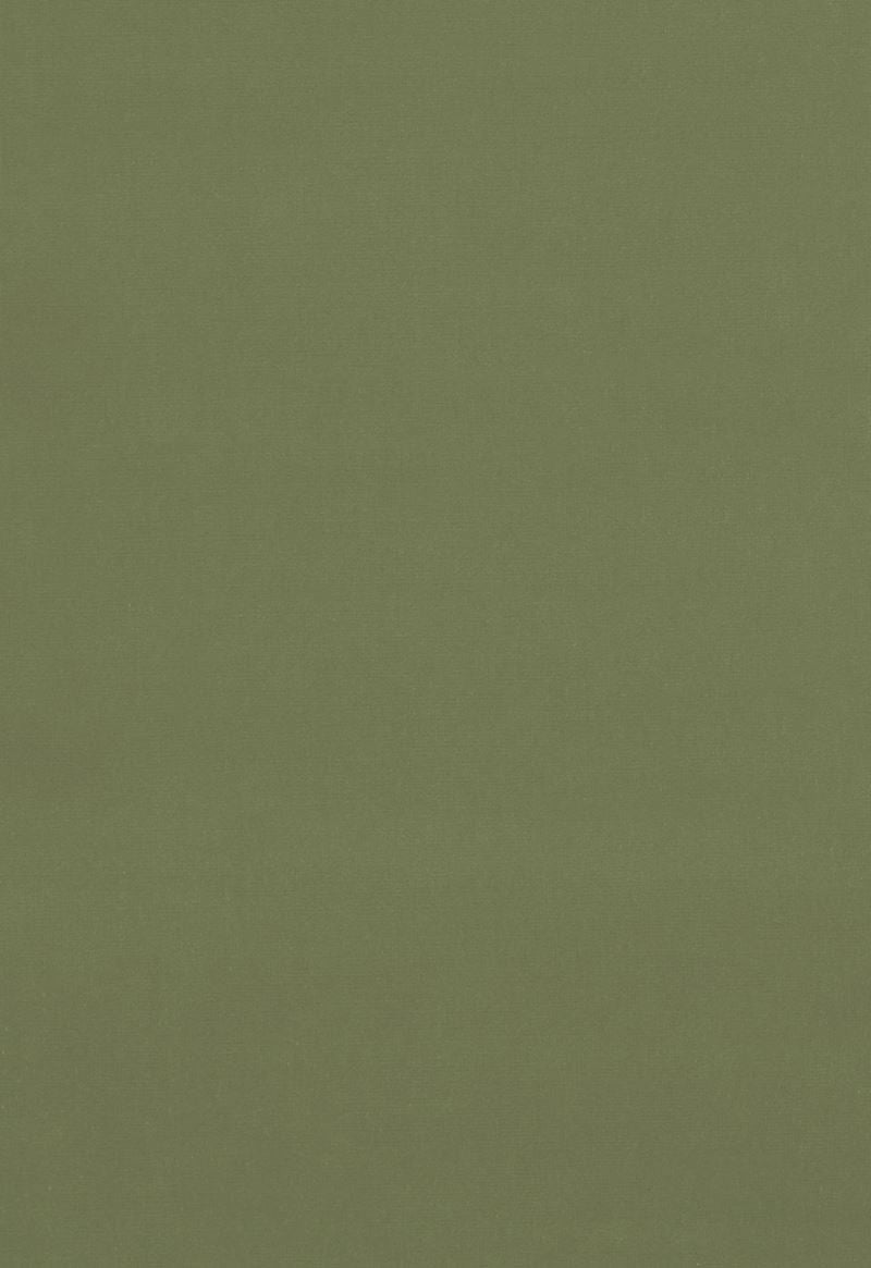 FSchumacher Fabric 42875 Gainsborough Velvet Celadon