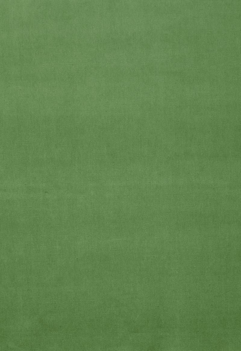 FSchumacher Fabric 42876 Gainsborough Velvet Parrot