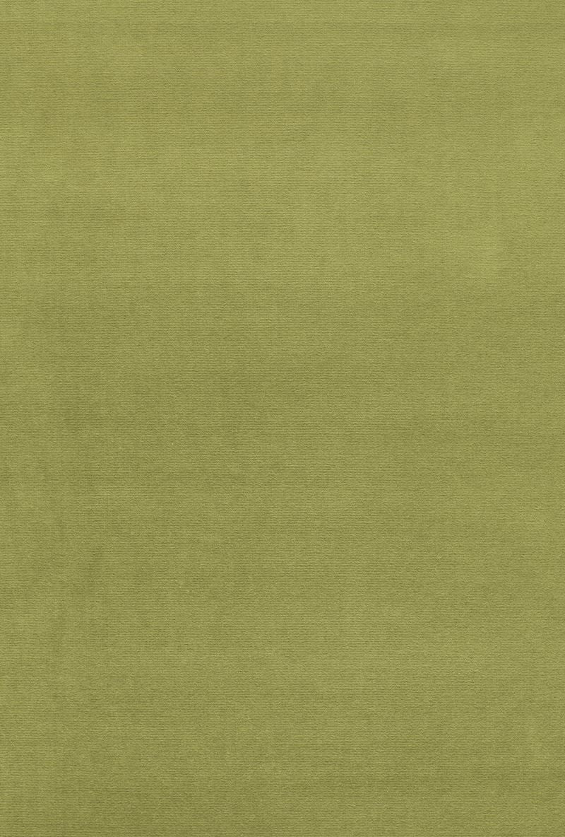 FSchumacher Fabric 43258 Gainsborough Velvet Palm