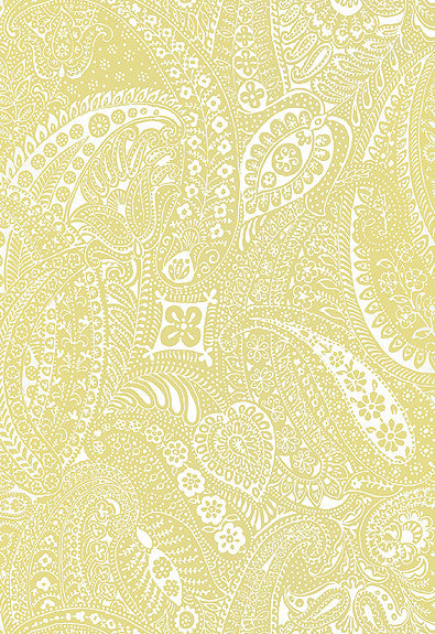 FSchumacher Wallpaper 5003193 Paisley Print Spring